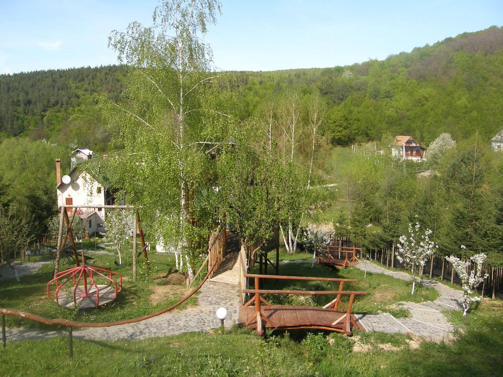 Mokus Panzio Bed and Breakfast Bicfălău Buitenkant foto