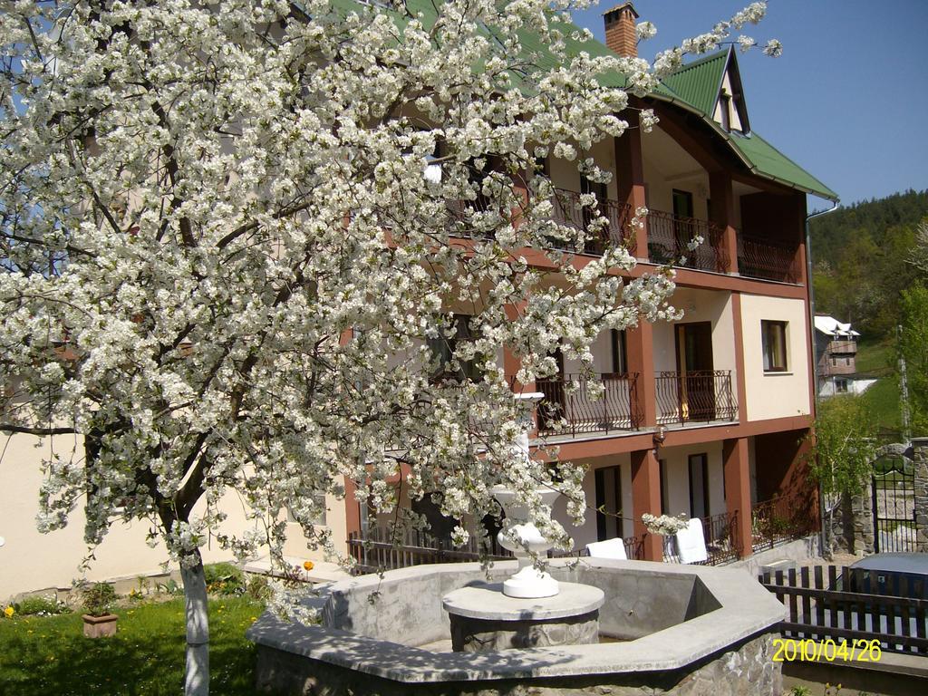 Mokus Panzio Bed and Breakfast Bicfălău Buitenkant foto