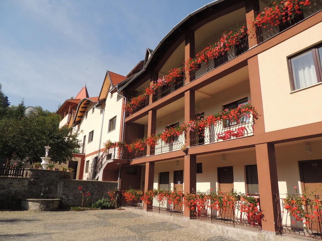 Mokus Panzio Bed and Breakfast Bicfălău Buitenkant foto
