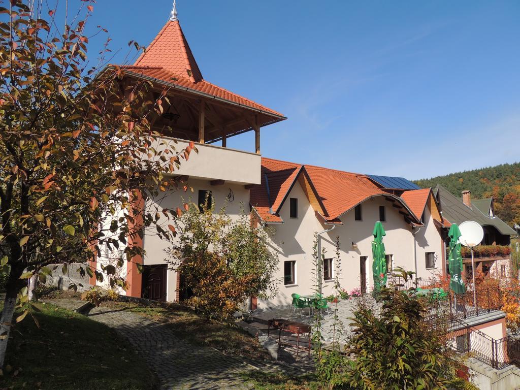 Mokus Panzio Bed and Breakfast Bicfălău Buitenkant foto