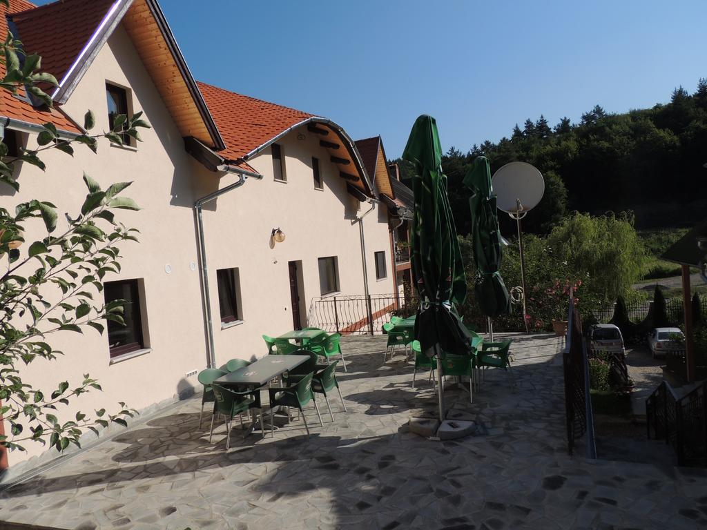 Mokus Panzio Bed and Breakfast Bicfălău Buitenkant foto