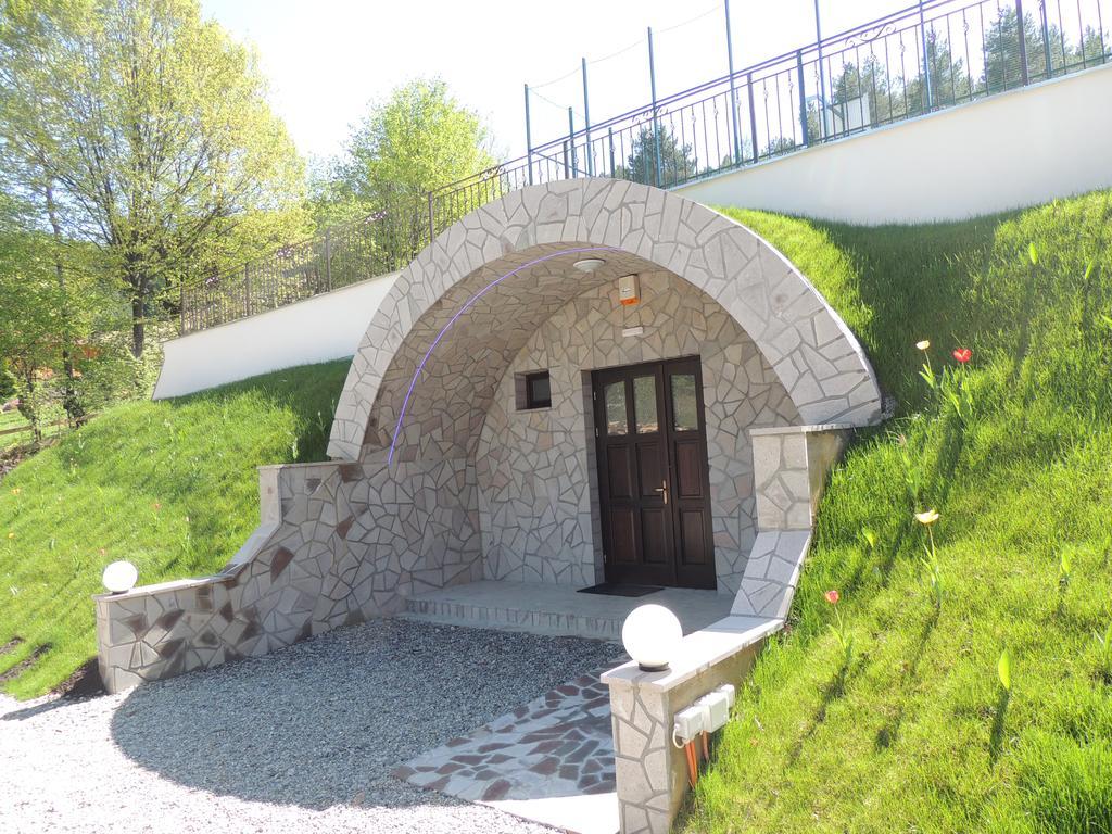 Mokus Panzio Bed and Breakfast Bicfălău Buitenkant foto